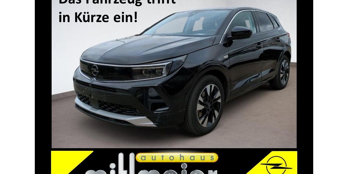 Opel Grandland (X) 24.800 km 23.985 &euro; Vohenstrauß 92648