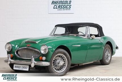 Austin Healey Andere