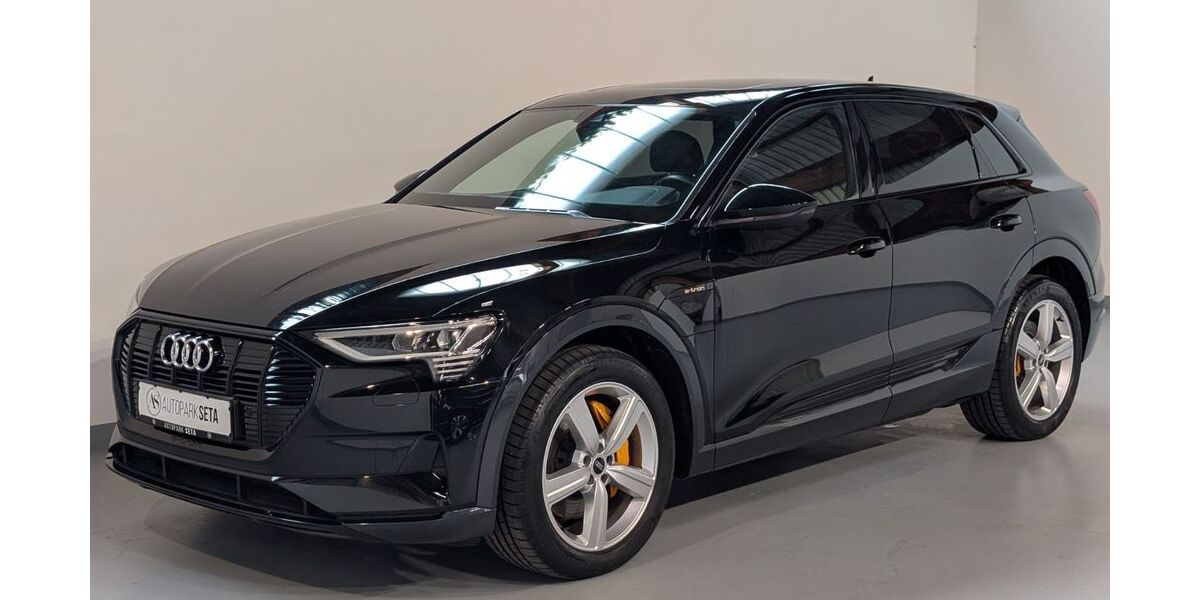 Audi e-tron 65.000 km 37.975 &euro; Ellerhoop bei Hamburg 25373