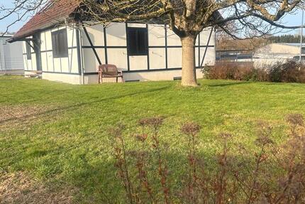 Gewerbeobjekt Weiskirchen - 800&euro; | Angebot:25432177