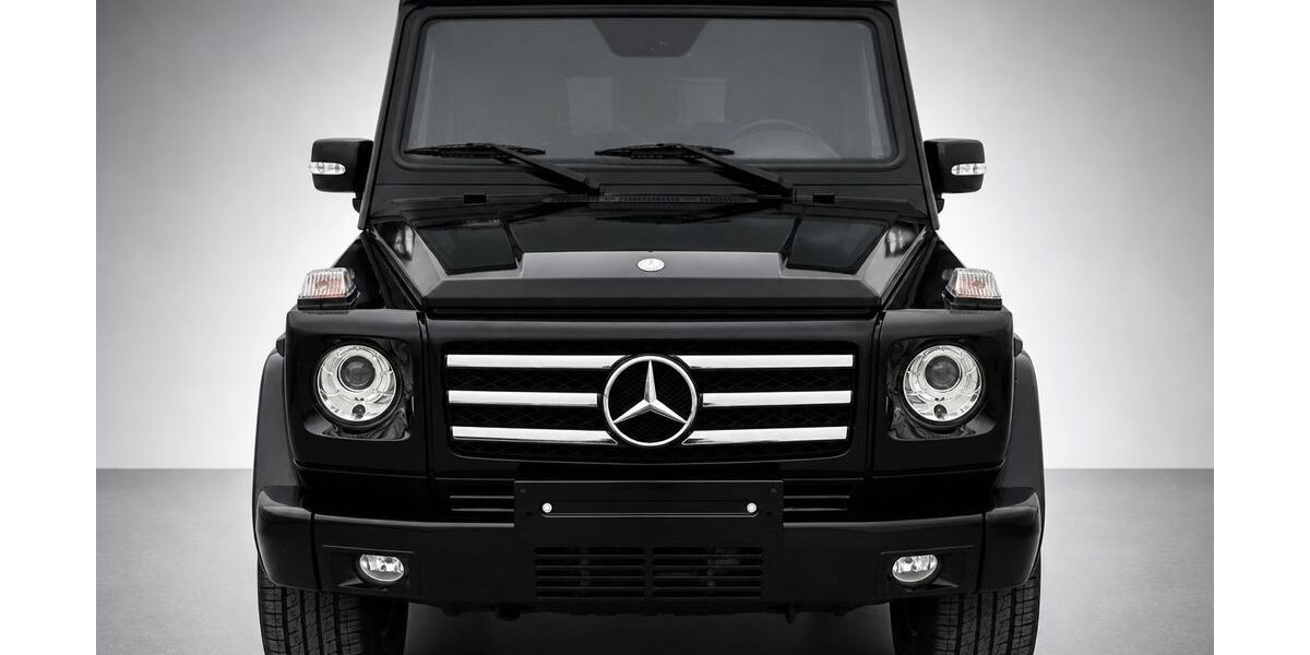 Mercedes-Benz G 500 179.000 km 52.000 &euro; Hausham 83734