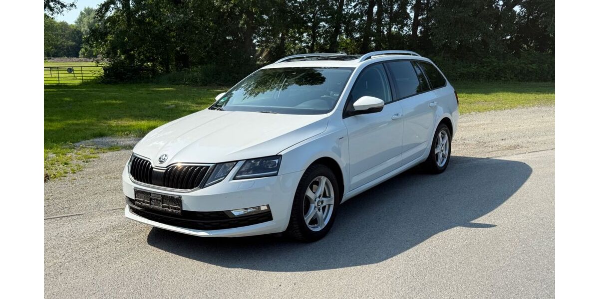 Skoda Octavia 183.383 km 11.300 &euro; Wurster Nordseeküste 27639