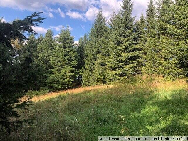 Grundstück Altenberg Zinnwald-Georgenfeld - 18.000&euro; | Angebot:25700102