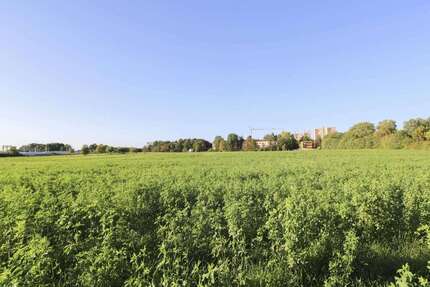 Grundstück zu verkaufen in Erlangen 150.000 € 4960.11 m² zimmer