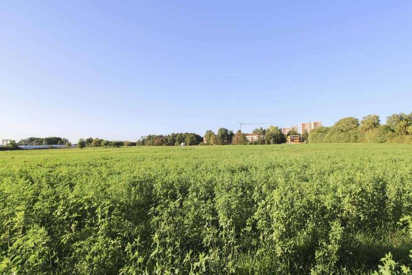 Grundstück zu verkaufen in Erlangen 150.000 € 4960.11 m² zimmer