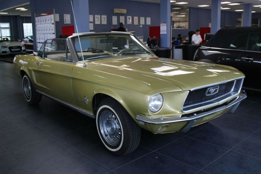 Mustang