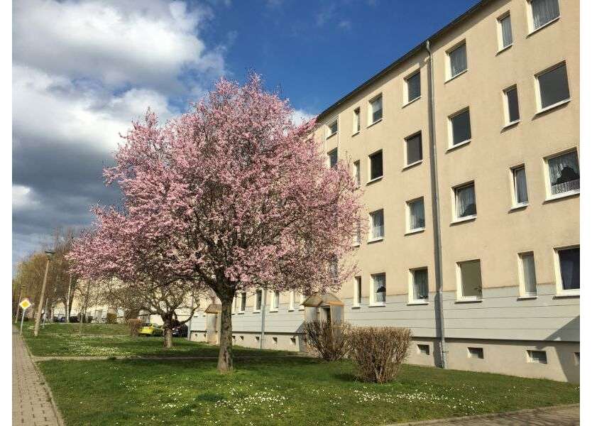 Wohnung zum Mieten in Aschersleben 325,49 € 59.18 m²