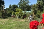 Grünes Paradies für Groß und Klein: Großzügige Doppelhaushälfte in absolut ruhiger Idylle - Doppelhaushälfte Weinböhla | Angebot:27022913
