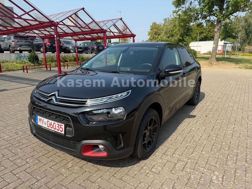 C4 Cactus