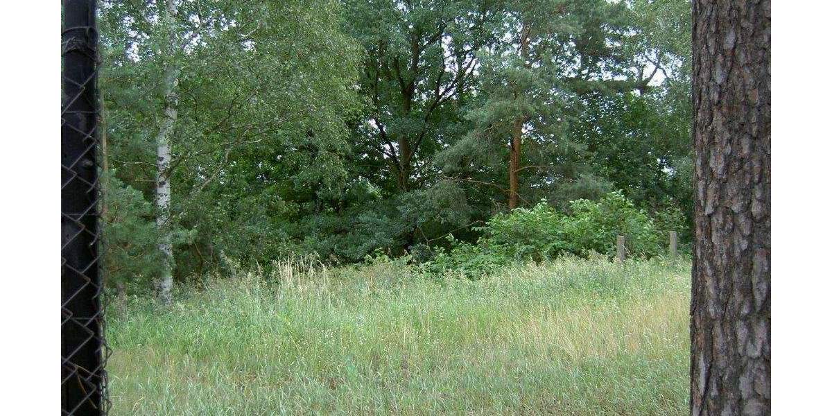 Grundstück Senftenberg - 150.000&euro; | Angebot:24155819