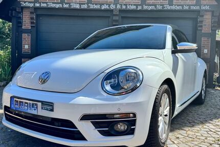 VW Beetle 68.000 km 14.800 &euro; Neuenkirchen 48485