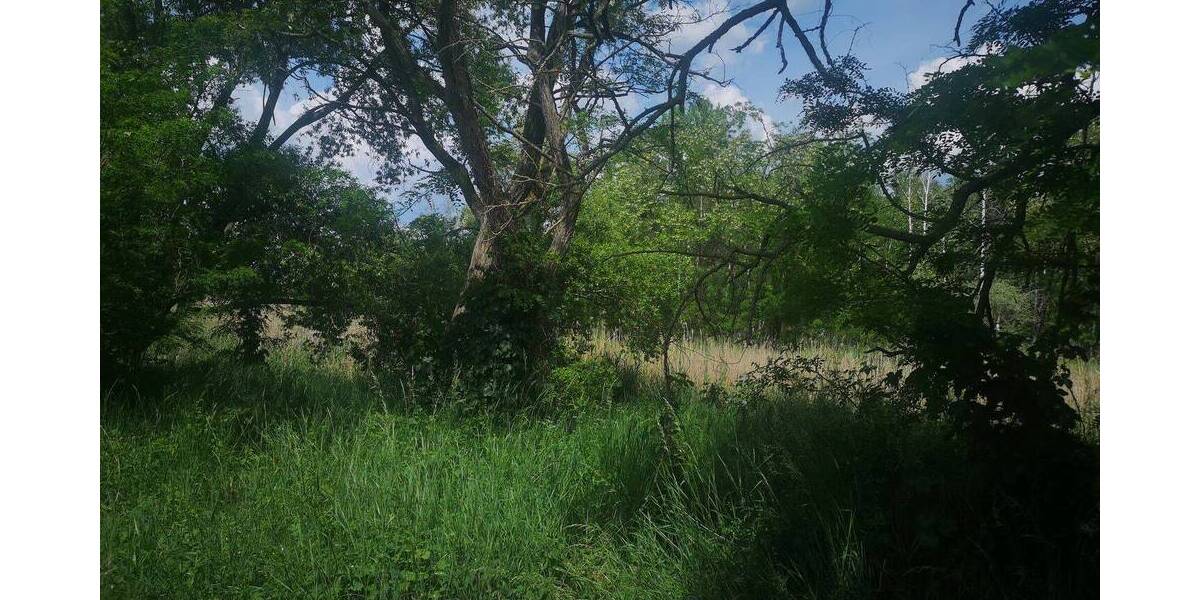 Grundstück Eilenburg - 2.999.000&euro; | Angebot:25958960