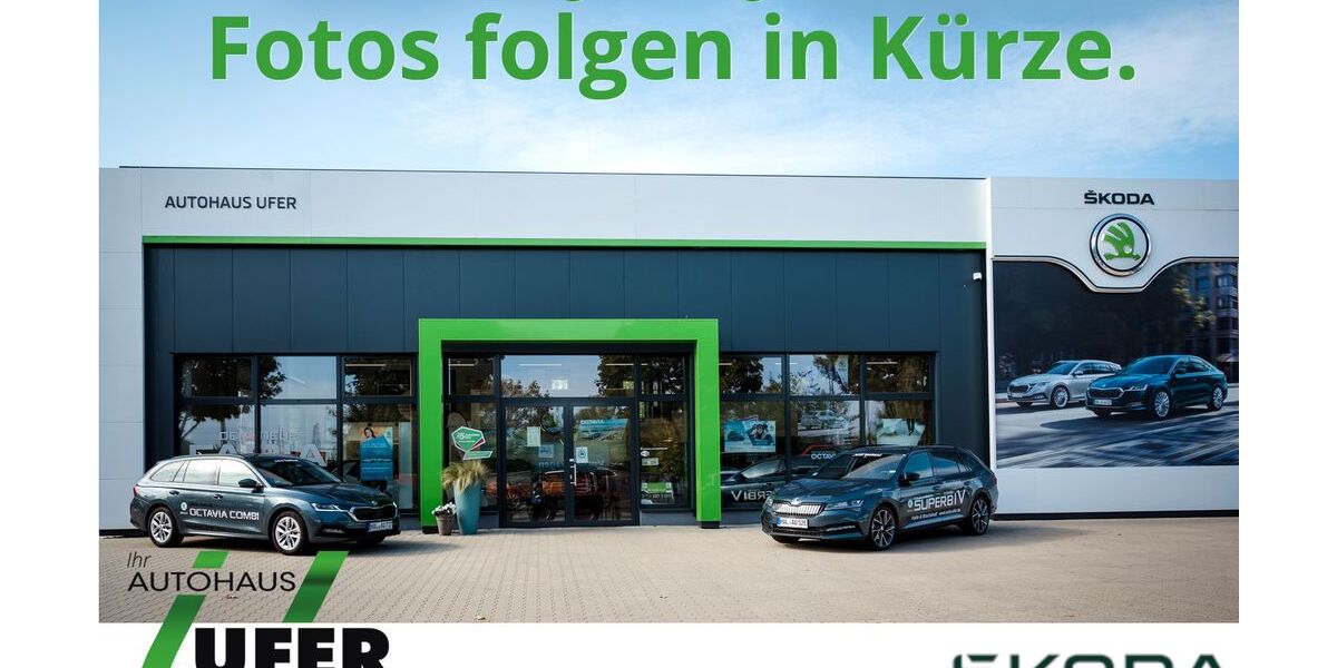 Skoda Fabia 5.100 km 26.990 &euro; Halle 06112