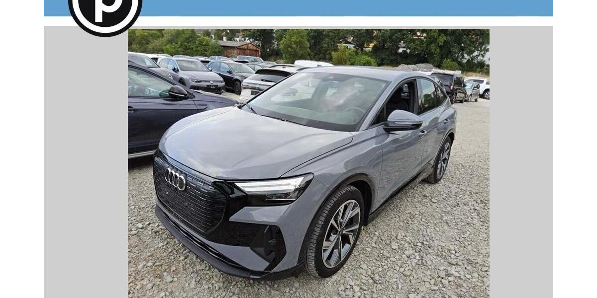 Audi Q4 e-tron 109.700 km 30.908 &euro; Neustadt/Aisch 91413