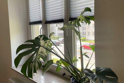 Zimmer Chemnitz Lutherviertel - 3 Zimmer, 63 m&sup2;, 362&euro; | Angebot:26436981