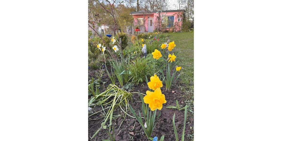 Einfamilienhaus Stralsund - 2 Zimmer, 30 m&sup2;, 12.500&euro; | Angebot:26431391