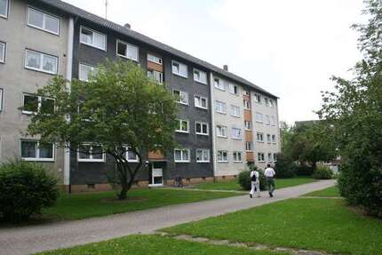 Wohnung Braunschweig Timmerlah-Geitelde-Stiddien - 2 Zimmer, 61 m&sup2;, 372&euro; | Angebot:27146912