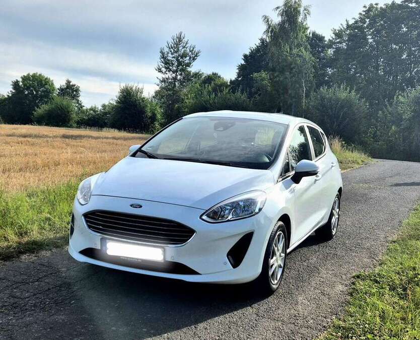 Ford Fiesta 91.617 km 8.900 € Elbtal 65627
