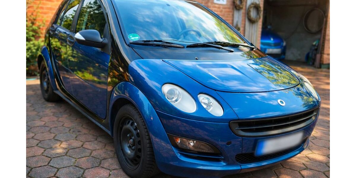Smart ForFour 68.000 km 2.999 &euro; Wiemersdorf 24649