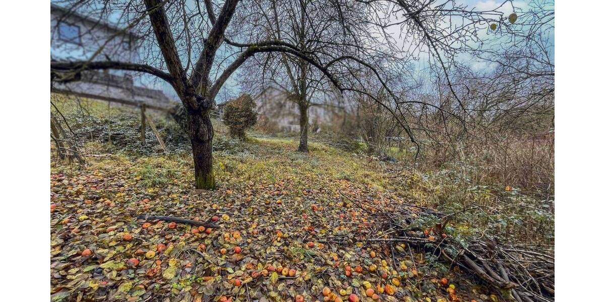 Grundstück Hunderdorf - 92.000&euro; | Angebot:26344686