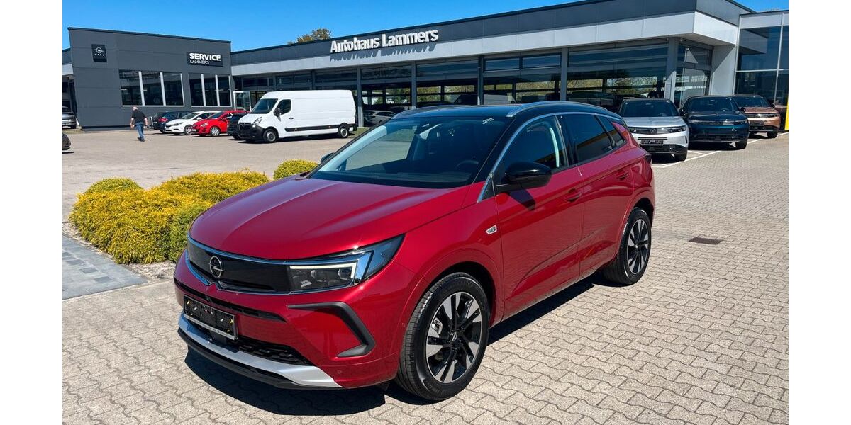 Opel Grandland (X) 24.119 km 21.990 &euro; Wietmarschen / Lohne 49835