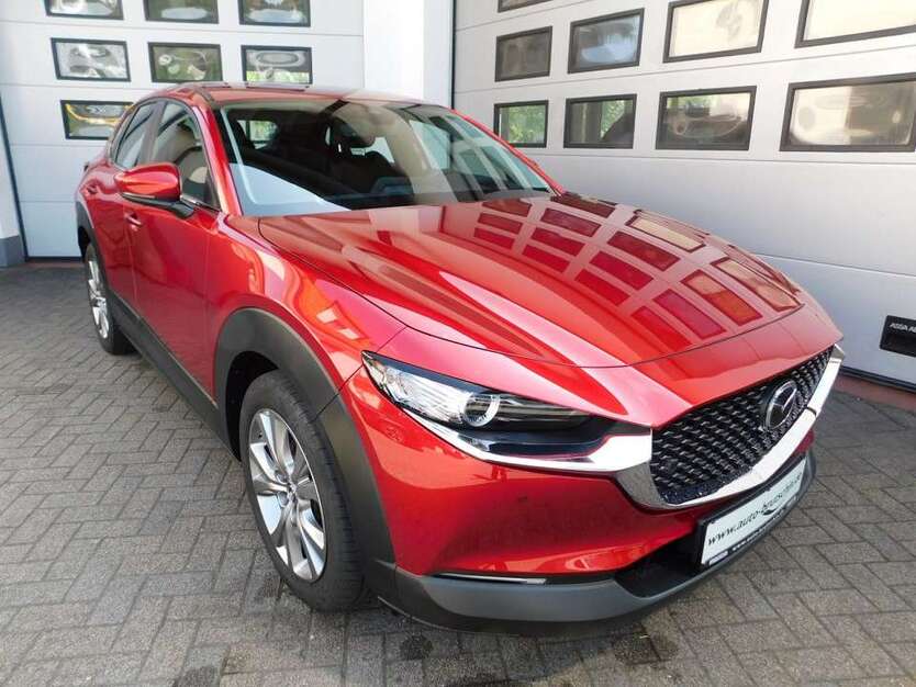 CX-30
