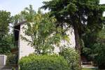 Mehrfamilienhaus, Wohnhaus Bruckmühl Hinrichssegen - 6 Zimmer, 200 m&sup2;, 640.000&euro; | Angebot:25938482