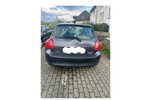 Auris