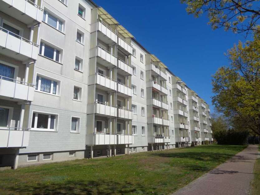 Wohnung zum Mieten in Anklam 350,56 € 50.08 m² 2 zimmer