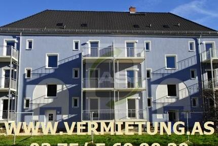 Wohnung Zwickau - 5 Zimmer, 112 m&sup2;, 770&euro; | Angebot:25917891