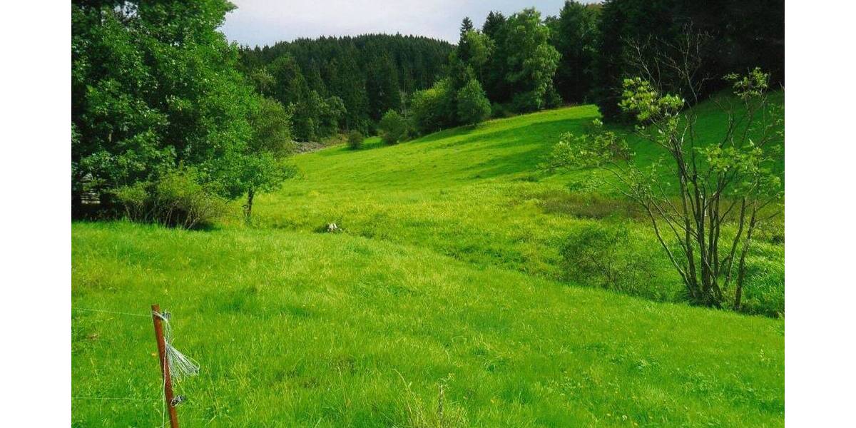 Grundstück Floh-Seligenthal Kleinschmalkalden - 8.000&euro; | Angebot:25727683