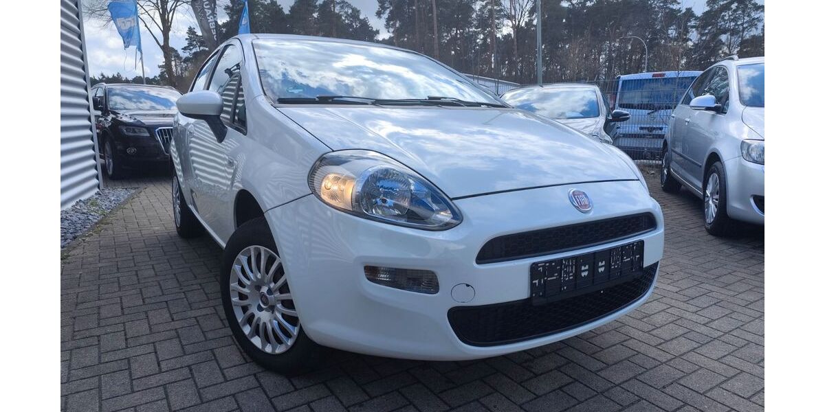 Fiat Punto 82.096 km 5.200 &euro; Schlangen 33189