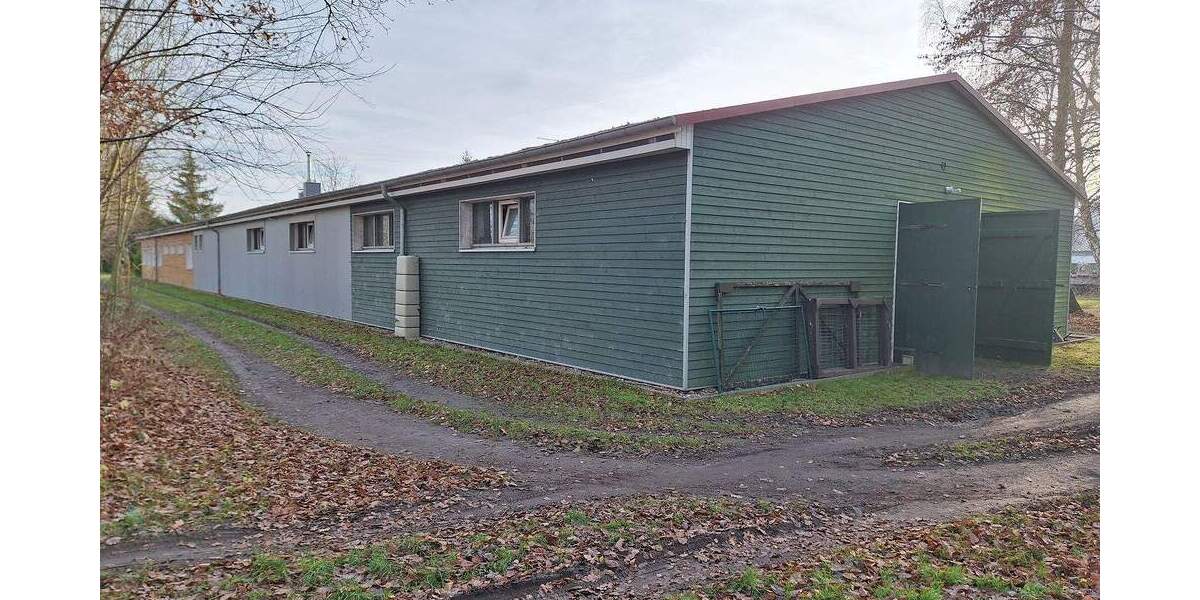 Riesen-Grundstück, zusätzl. Bauland, Riesen-Garage, Stall - Großzügiges Wohnhaus in Greifswald 7 zimmer