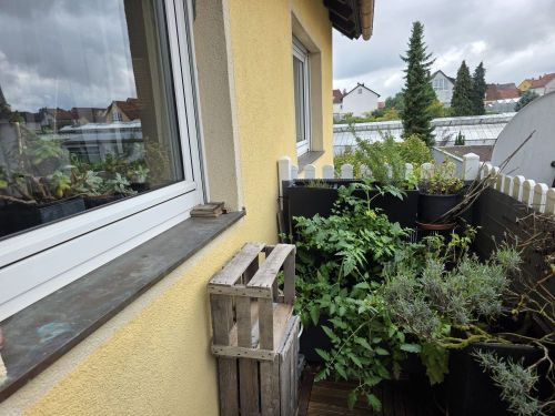 3-Familien-Haus in 97534 Waigolshausen (ID 10034) 11 zimmer