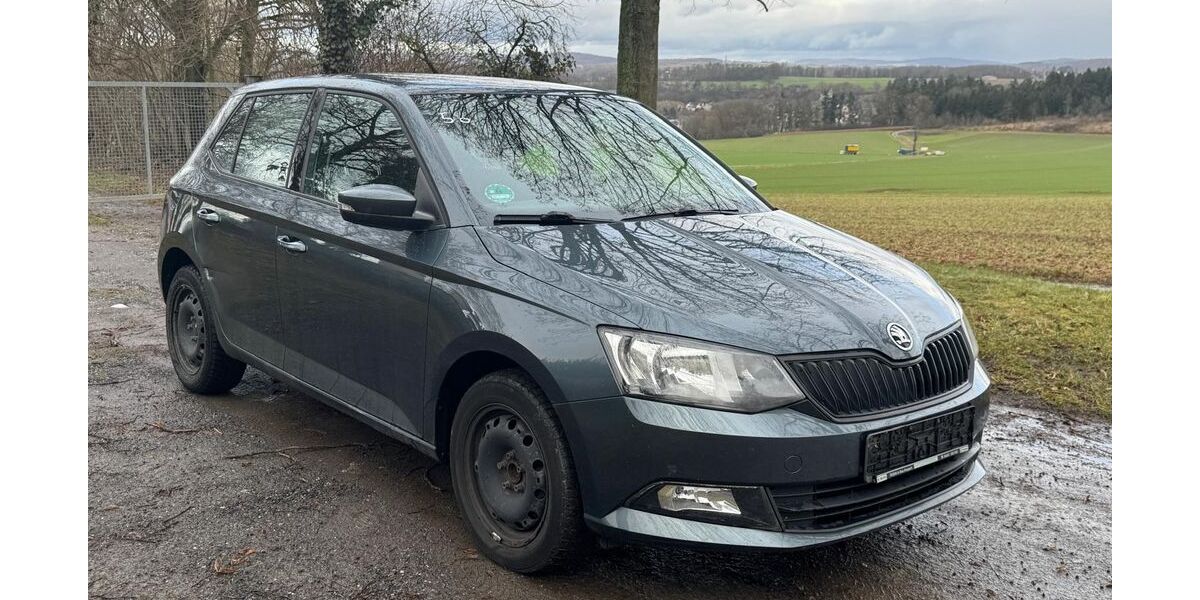 Skoda Fabia 160.000 km 4.999 &euro; Limburg - Eschhofen 65552