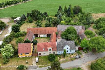 Haus zum Kaufen in Herzberg (Elster) 249.000 € 122 m² 5 zimmer