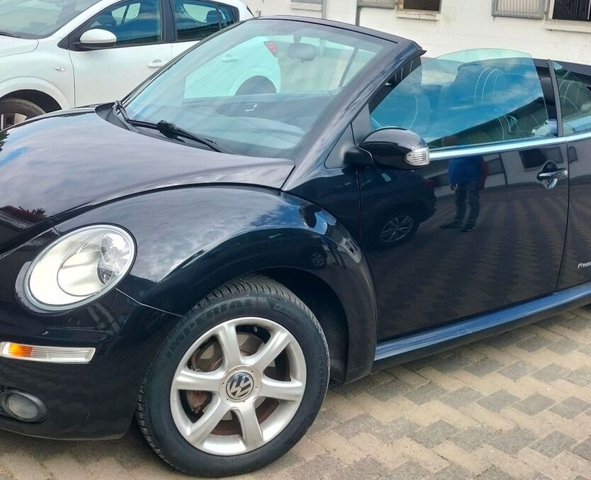 Beetle