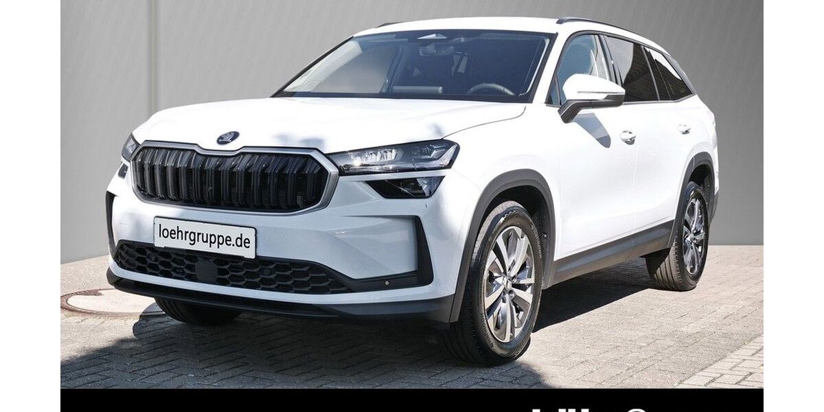 Skoda Kodiaq 4.600 km 45.950 &euro; Worms 67547
