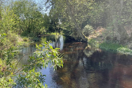 TOP-Campingplatz in Thüringen zu verkaufen - lukrative Vollexistenz in Thüringen nahe Rennsteig zimmer