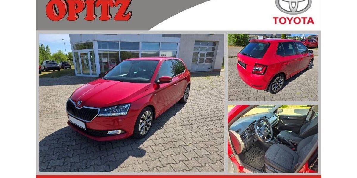 Skoda Fabia 25.875 km 14.595 &euro; Burg 39288