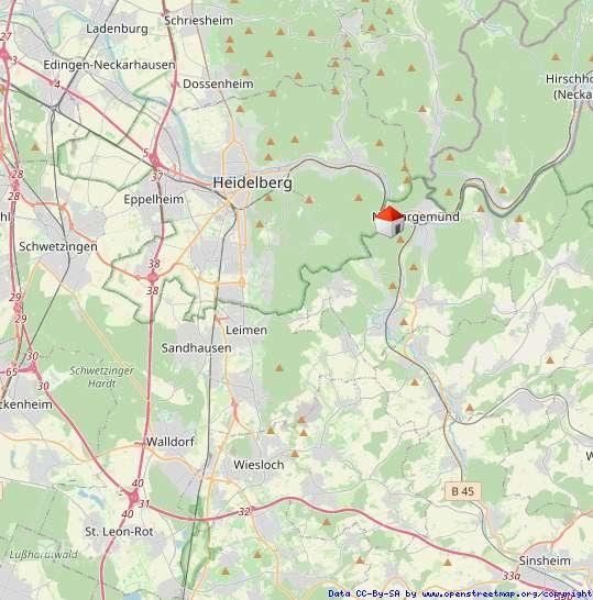 Etagenwohnung Neckargemünd - 3 Zimmer, 101 m&sup2;, 1.900&euro; | Angebot:24214785