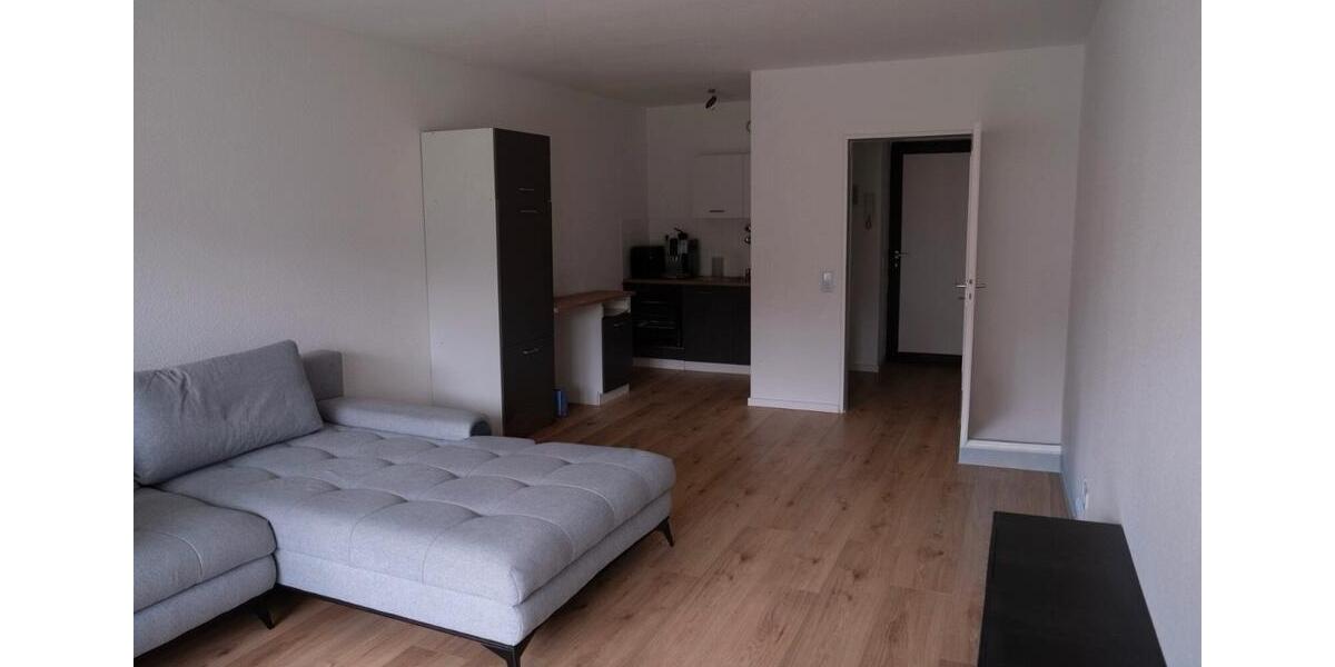 Erdgeschoßwohnung Wiesbaden Biebrich - 1 Zimmer, 45 m&sup2;, 750&euro; | Angebot:24841887