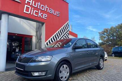 Skoda Rapid/Spaceback