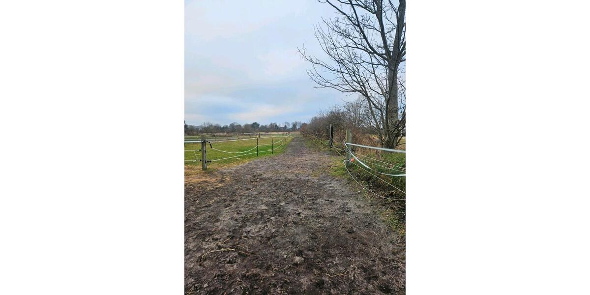 Wohnung mit Pferdehaltung 4 zimmer