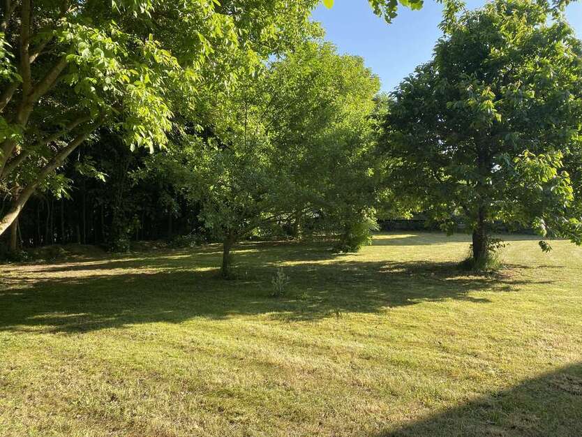 Haus zum Kaufen in Mitteleschenbach 475.000 € 254 m²