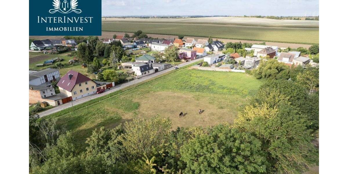 Bauernhaus, Landhaus Bördeland Zens - 5 Zimmer, 220 m&sup2;, 440.000&euro; | Angebot:26016044