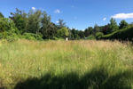 Traumhaftes Baugrundstück am Naturschutzgebiet - Ihr Paradies in Böhl-Iggelheim