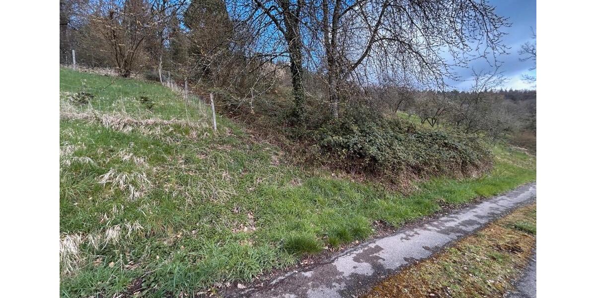 Grundstück Winnenden - 2.500&euro; | Angebot:26425207