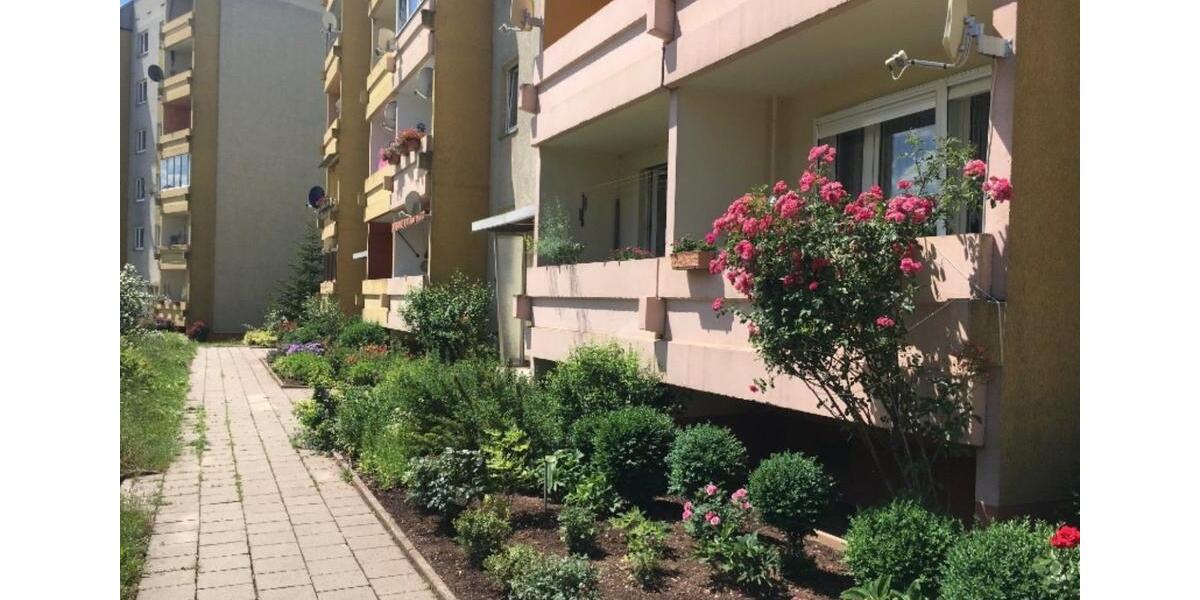 Sehr schöne 1 Raumwohnung Parterre Artern zu vermieten. 1 zimmer