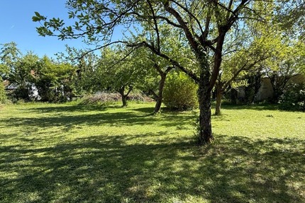Sonniges Baugrundstück für Einfamilien-, oder Doppelhaus in einer der schönsten Lagen von Höchberg - Grundstück Höchberg | Angebot:26670186